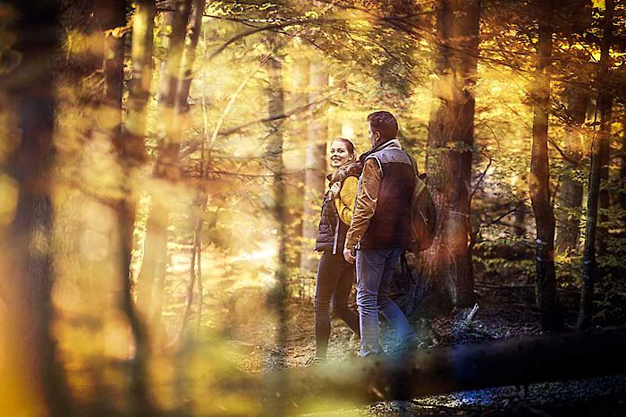 Wandern in der Arberregion Bayerischer Wald